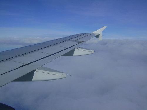 DSC03273_resize.JPG
